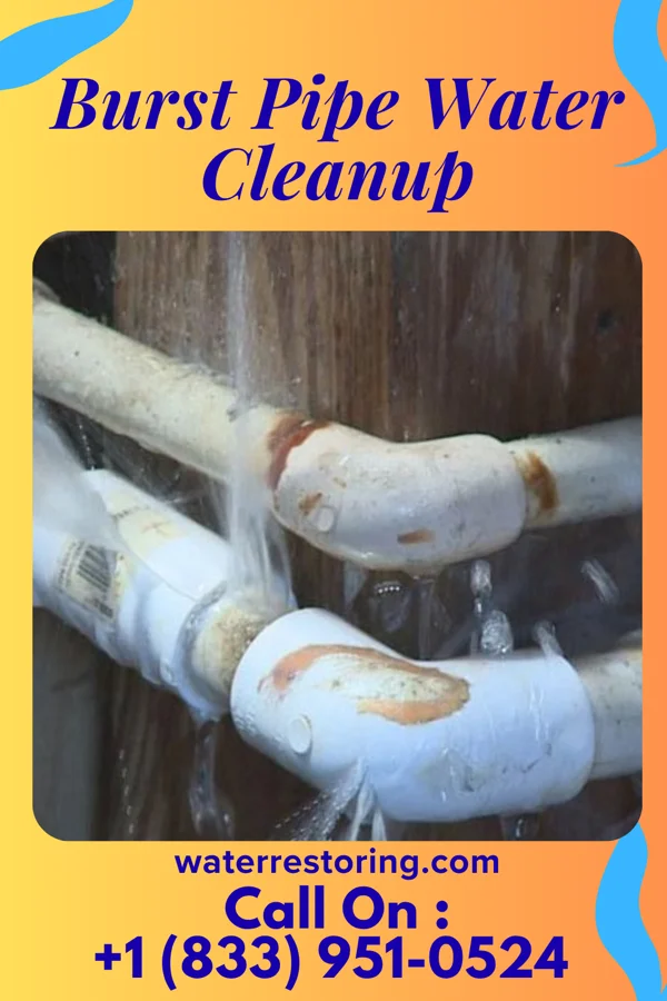 Burst Pipe Water Cleanup in Lake Waccamaw, NC
