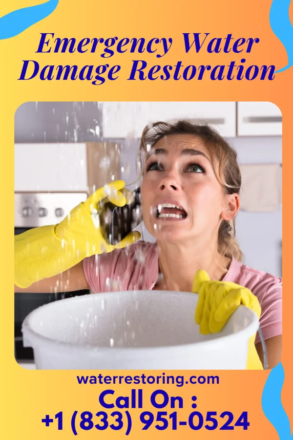 Emergency Water Damage Restoration in Lake Waccamaw, NC