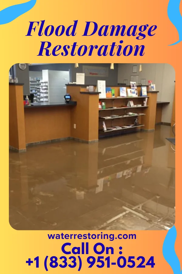 Flood Damage Restoration in Lake Waccamaw, NC