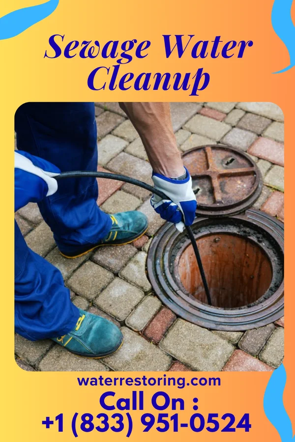 Sewage Water Cleanup in Lake Waccamaw, NC